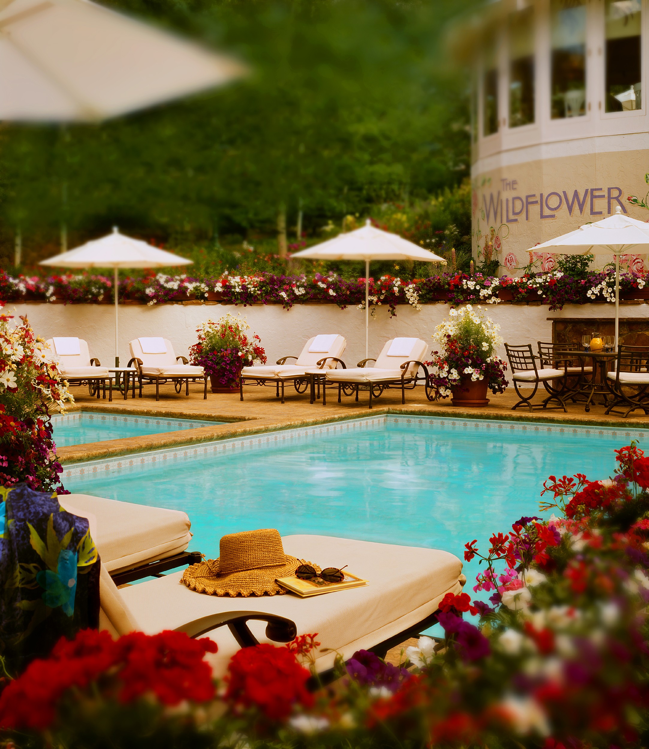 LAv pool